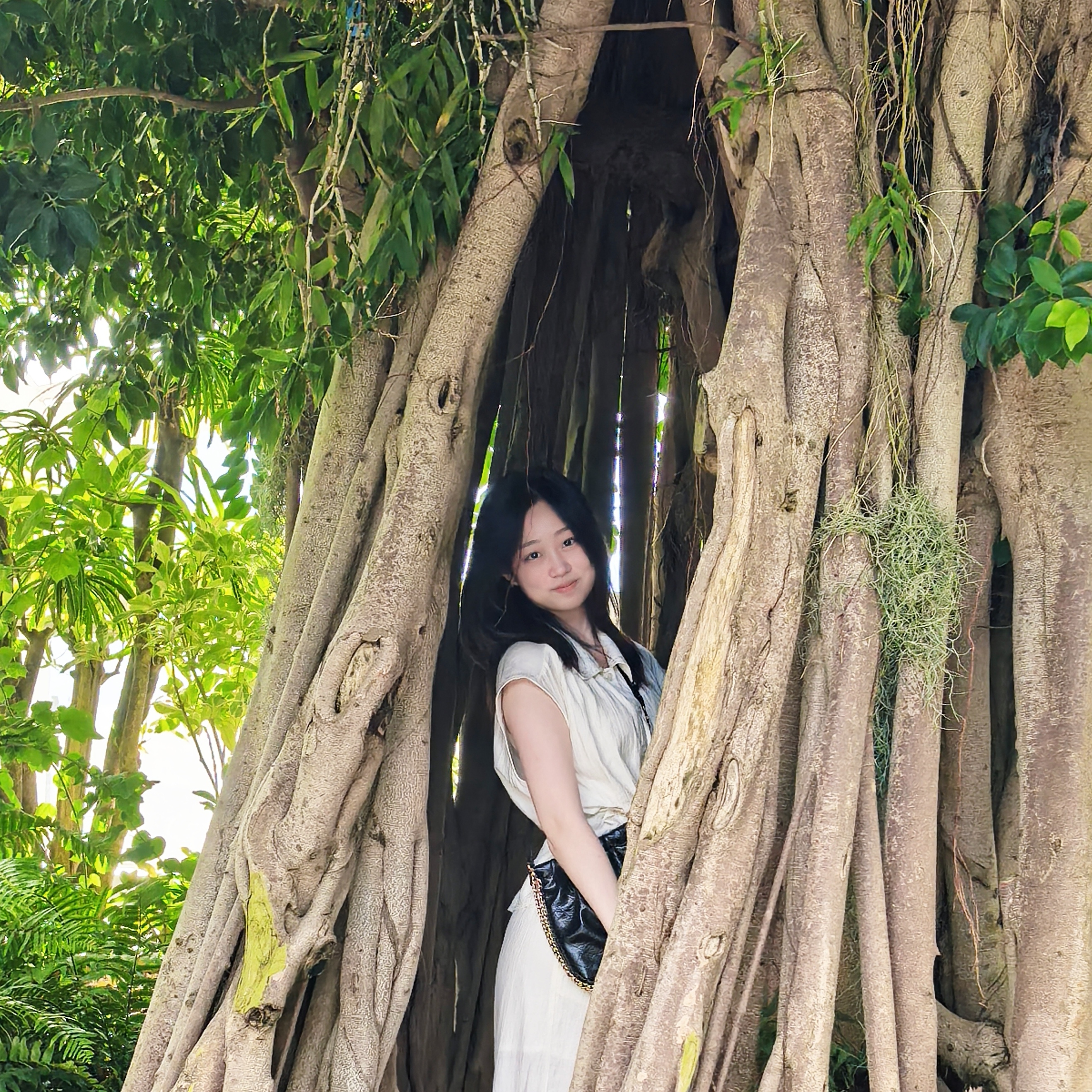 秦梦阳证件照